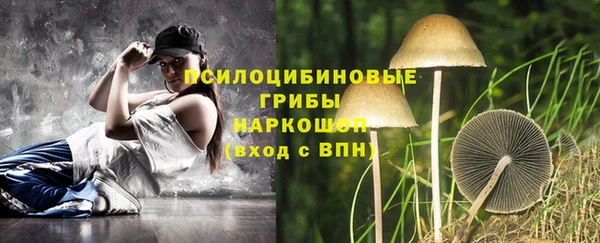 винт Покров