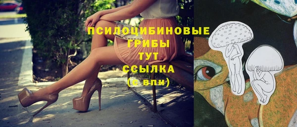 трава Пересвет