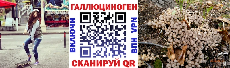 Купить  Каргат  Псилоцибиновые грибы Psilocybe 